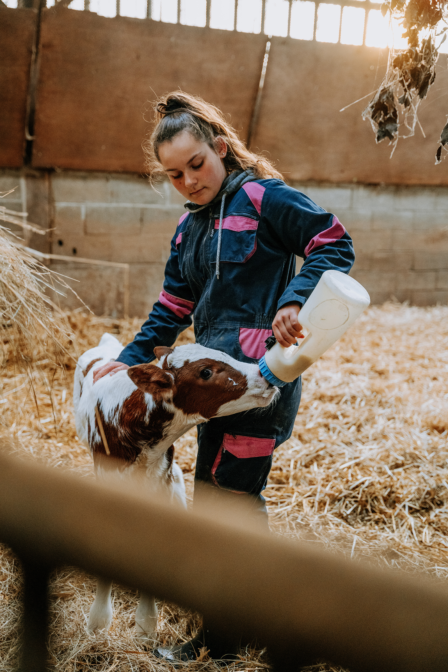 agriculteur_bio_vache